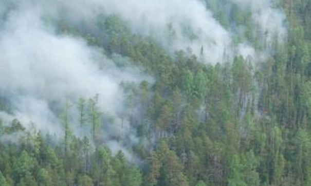 Пожароопасные области Урала Пожароопасные области Урала